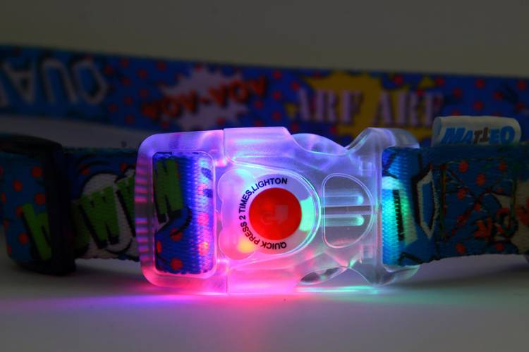 Obroża Klamra LED - Graffiti Niebieski 0555 25MM 0CM 38-65CM - matteo-company