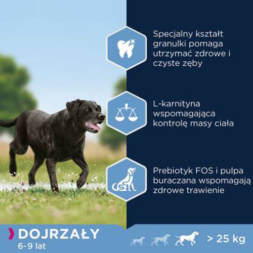Eukanuba Thriving Mature Large Breed, kurczak 2 x 15 kg - Eukanuba