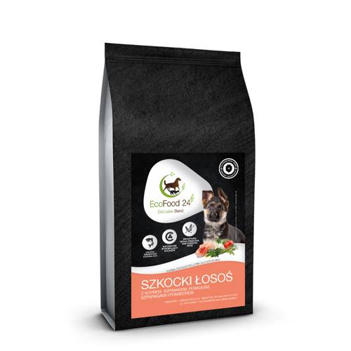 Karma sucha dla psa - Szkocki łosoś z koprem, szpinakiem, fenkułem, szparagami i pomidorem 2kg - EcoFood24