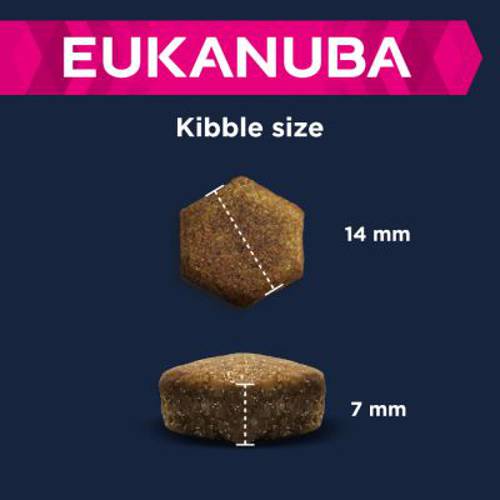 Eukanuba Senior Small & Medium Breed, jagnięcina i ryż 2 x 12 kg - Eukanuba