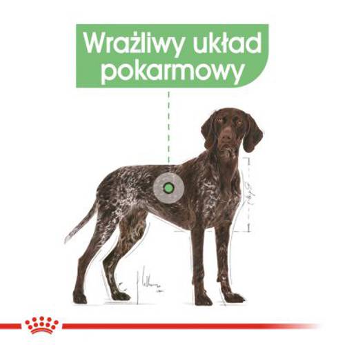 Royal Canin CCN Digestive Care Maxi 12 kg - Rc Care Nutrition