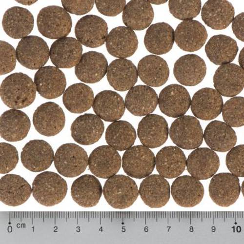 Purizon Single Meat Adult, kurczak z dynią, bez zbóż 1 kg - Purizon