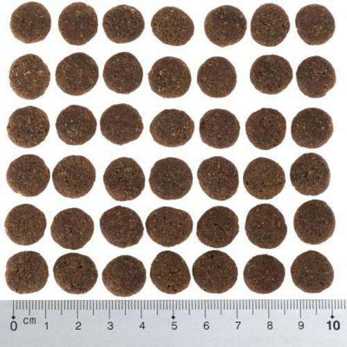 Purizon Single Meat Adult, konina z batatami, bez zbóż 12 kg -