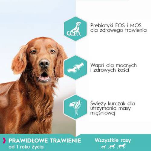 Eukanuba Daily Care Adult Sensitive Digestion 12 kg - Eukanuba