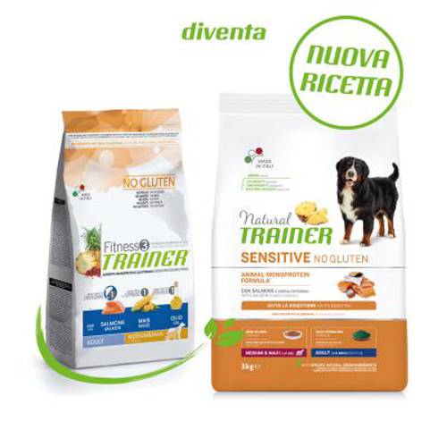 Trainer Natural Sensitive No Gluten Adult Medium/Maxi, łosoś 12 kg - Nova Foods Trainer Fitness