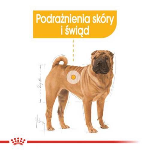 Royal Canin CCN Dermacomfort Medium 12 kg - Rc Care Nutrition