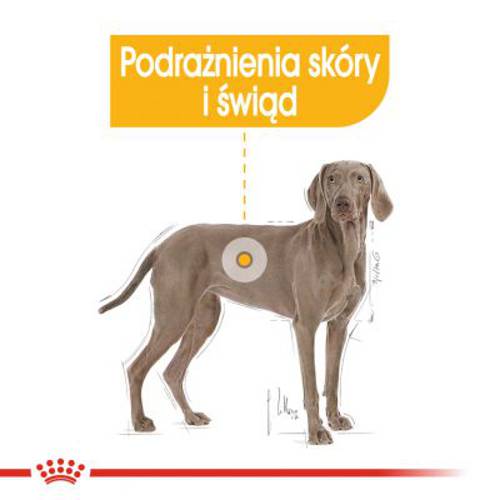 Royal Canin CCN Dermacomfort Maxi 12 kg - Rc Care Nutrition