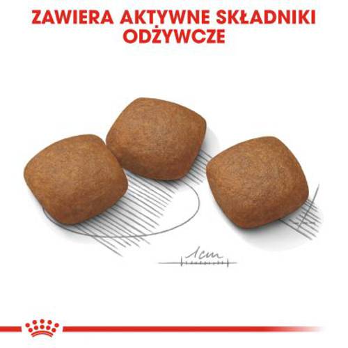 Royal Canin CCN Joint Care Maxi 2 x 10 kg - Rc Care Nutrition