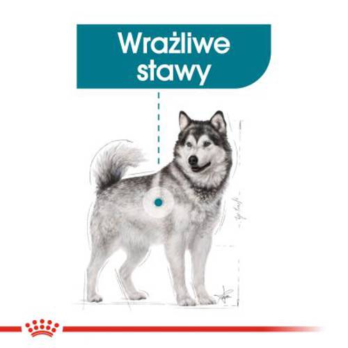 Royal Canin CCN Joint Care Maxi 2 x 10 kg - Rc Care Nutrition