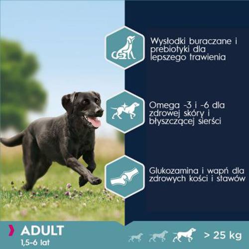 Eukanuba Adult Large Breed, kurczak 15 kg - Eukanuba