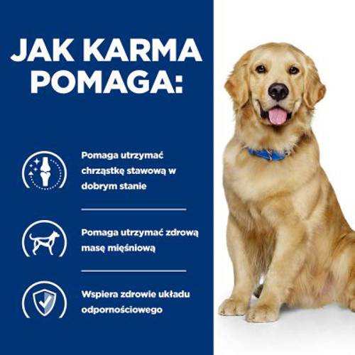 Hill's Prescription Diet j/d Joint Care, kurczak 2 x 12 kg - Hills Prescription Diet