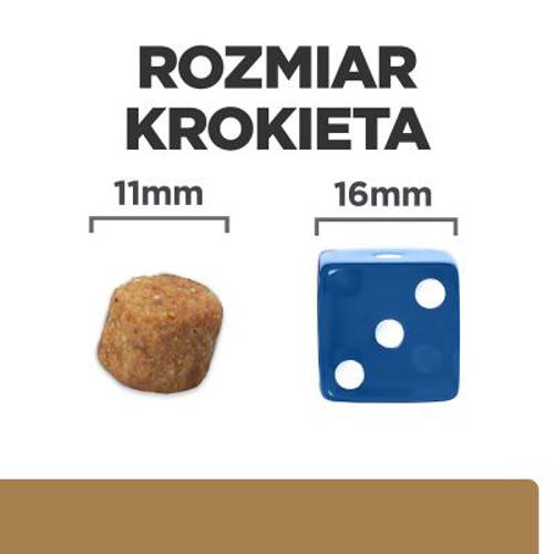 Hill's Prescription Diet j/d Joint Care, kurczak 2 x 12 kg - Hills Prescription Diet