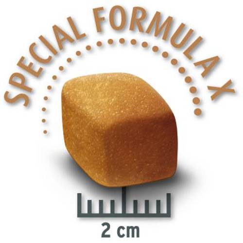 Concept for Life Golden Retriever Adult 12 kg - Concept For Life