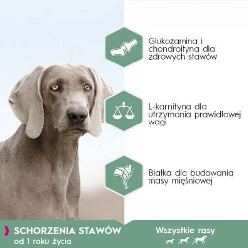Eukanuba Daily Care Adult Sensitive Joints 2 x 12 kg - Eukanuba