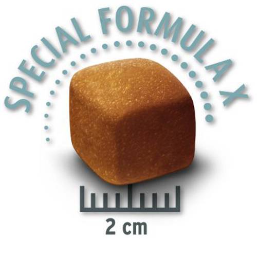 Concept for Life Large Light 2 x 12 kg - Concept For Life