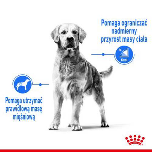 Royal Canin CCN Light Weight Care Medium 2 x 12 kg - Rc Care Nutrition