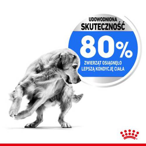Royal Canin CCN Light Weight Care Medium 2 x 12 kg - Rc Care Nutrition