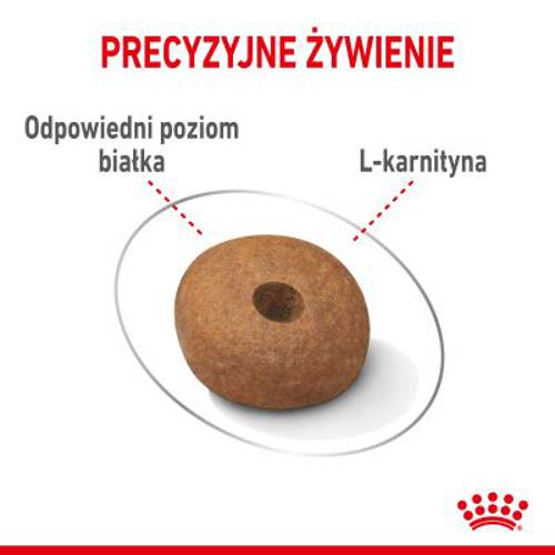 Royal Canin CCN Light Weight Care Medium 2 x 12 kg - Rc Care Nutrition