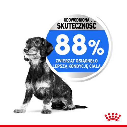 Royal Canin CCN Light Weight Care Mini 2 x 8 kg - Rc Care Nutrition