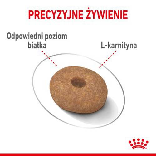 Royal Canin CCN Light Weight Care Mini 2 x 8 kg - Rc Care Nutrition