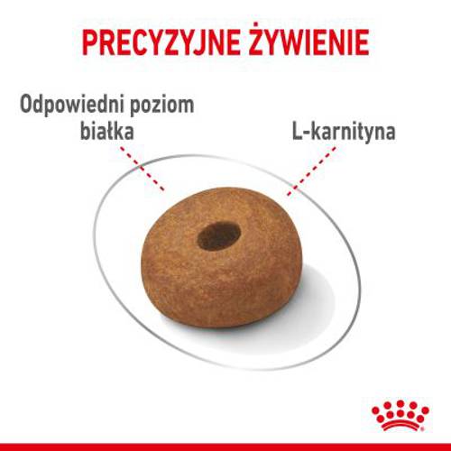Royal Canin CCN Light Weight Care Maxi 12 kg - Rc Care Nutrition
