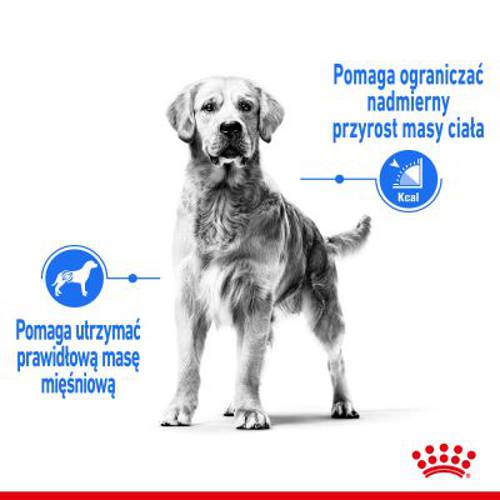 Royal Canin CCN Light Weight Care Maxi 12 kg - Rc Care Nutrition