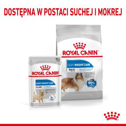 Royal Canin CCN Light Weight Care Maxi 12 kg - Rc Care Nutrition