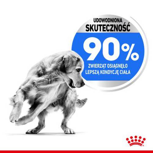 Royal Canin CCN Light Weight Care Maxi 12 kg - Rc Care Nutrition