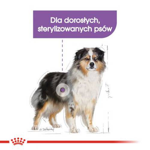 Royal Canin CCN Sterilised Medium 2 x 12 kg - Rc Care Nutrition