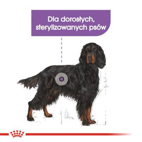 Royal Canin CCN Sterilised Maxi 12 kg - Rc Care Nutrition
