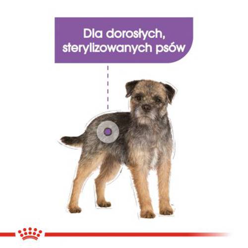 Royal Canin CCN Sterilised Mini 8 kg - Rc Care Nutrition