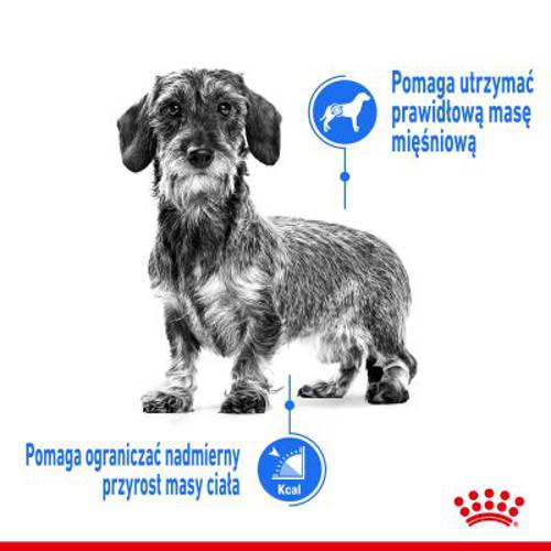 Royal Canin CCN Light Weight Care 12 x 85 g - Rc Care Nutrition