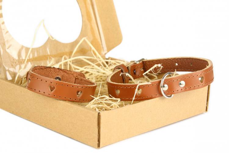 Obroża Skóra Serca  - Brązowy 0362 18MM 44CM 33-41CM - matteo-company