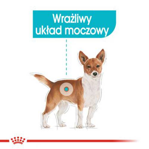 Royal Canin CCN Urinary Care 12 x 85 g - Rc Care Nutrition