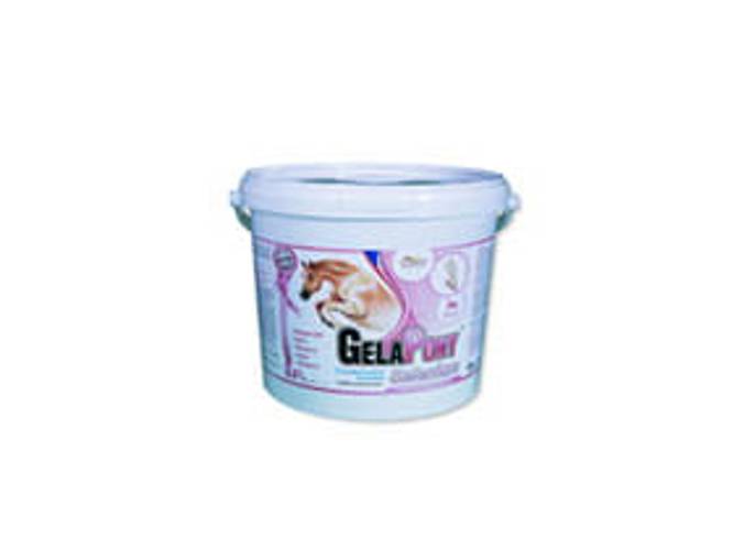 GelaPony Selenium - 600 g - Orling