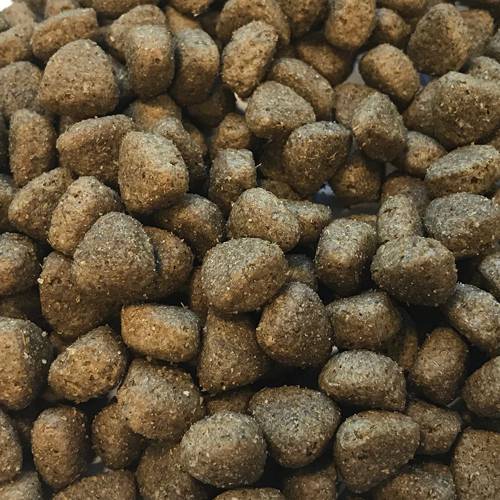 Karma sucha dla psa - Jagnięcina z ryżem 2kg -