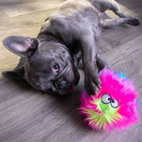 goDog® tęczowa piłka Furballz Śr. ok. 12 cm - Zooplus