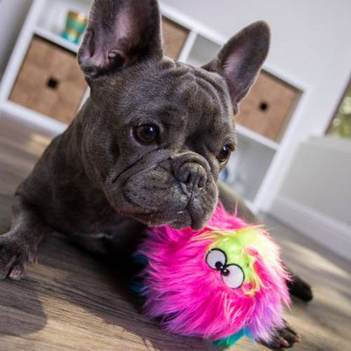 goDog® tęczowa piłka Furballz Śr. ok. 12 cm - Zooplus