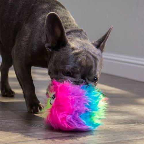 goDog® tęczowa piłka Furballz Śr. ok. 12 cm - Zooplus