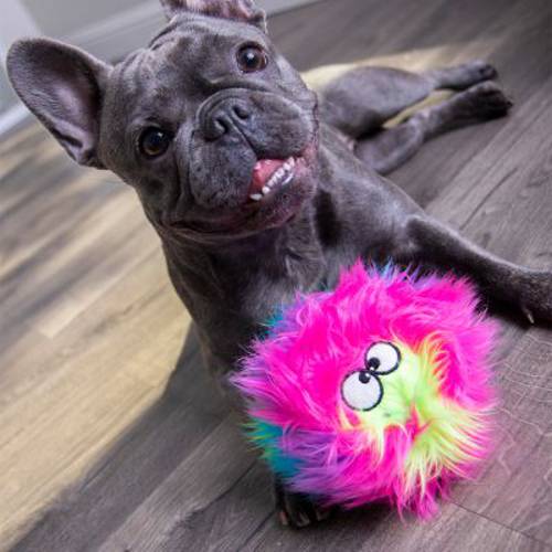 goDog® tęczowa piłka Furballz Śr. ok. 12 cm - Zooplus
