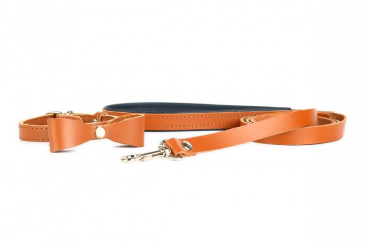 Obroża Skóra z kokardą – Brązowa 0412 14MM 34CM 23-31CM - matteo-company
