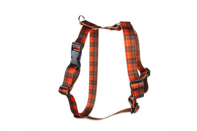 Szelki Guard - Szkocka Krata 0836 LED 20MM 30-50CM - matteo-company