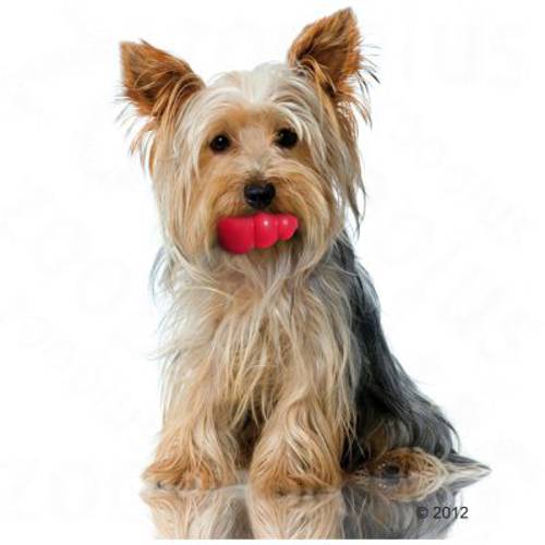 KONG Classic, czerwony XXL, ok. 15,24 cm - Kong