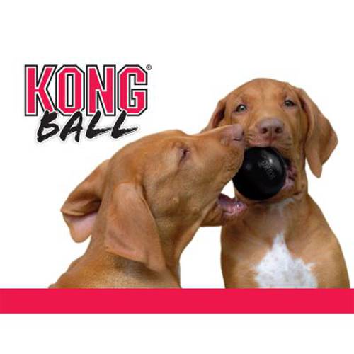 KONG Extreme piłka dla psa S - Kong