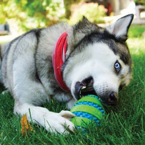 KONG Squeezz® Goomz Ball piłka dla psa XL: Ø 9 cm - Kong