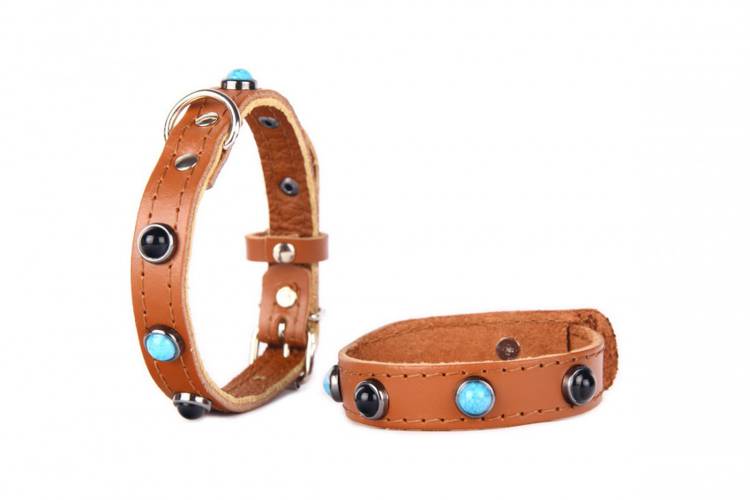 Obroża Skóra Kryształ – Brązowy 0182 14MM 34CM 23-31CM - matteo-company