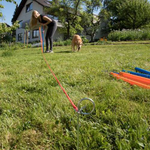 Agility Fun & Sport Drążki do slalomu 12 szt. - Zooplus