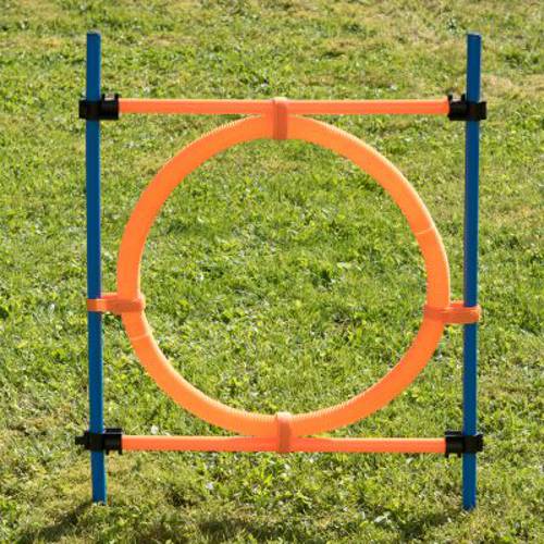 Agility Fun & Sport  kółko do skakania Śr. ok. 55 cm - Zooplus