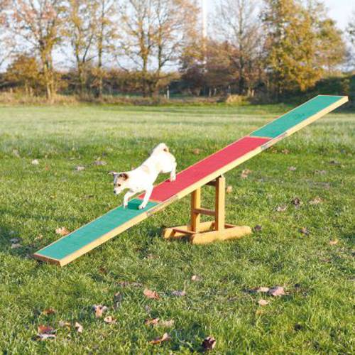 Trixie Agility huśtawka dla psa Dł. x szer. x wys.: 300 x 34 x 54 cm -