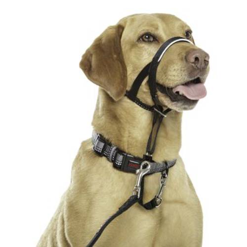 Halti Obroża uzdowa, czarna Rozmiar 4: berneński pies pasterski, dog, rottweiler - Halti